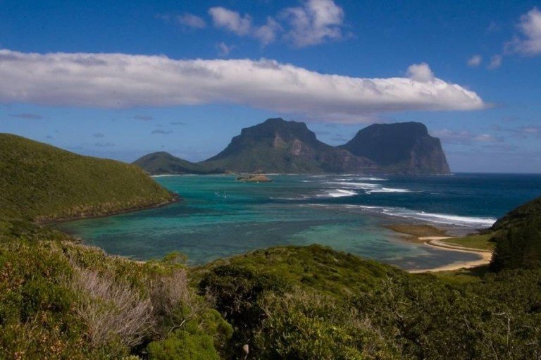 See The Giant Tree Lobster And Hear Its Incredible Story