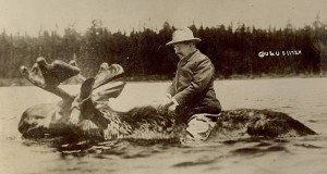 Roosevelt Riding Moose Og