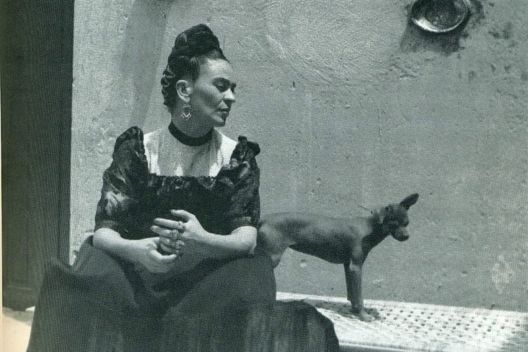 33 Enthralling Frida Kahlo Photos Of The 20th Century's Most ...