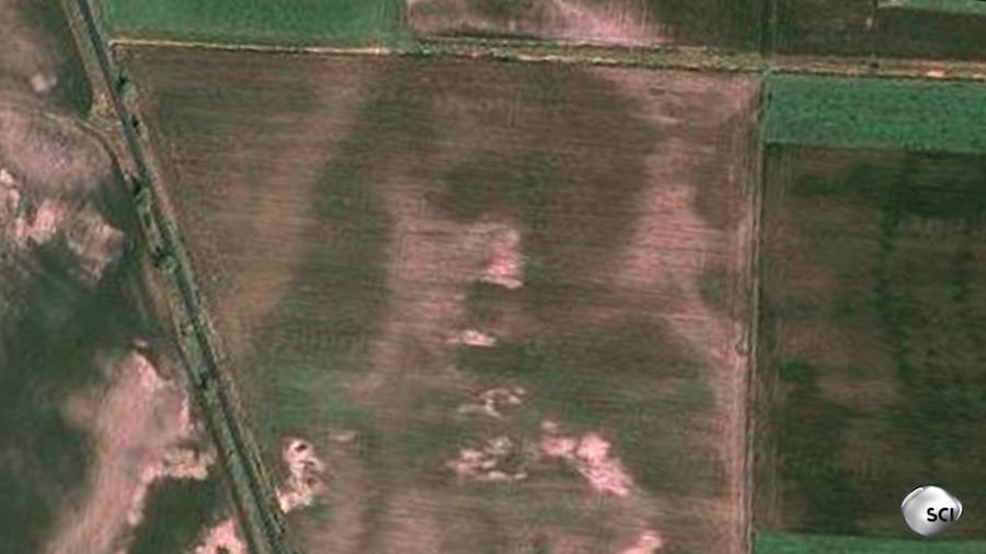 Jesus Image On Field