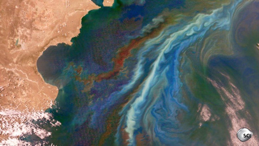Red Tide Algae View From Space