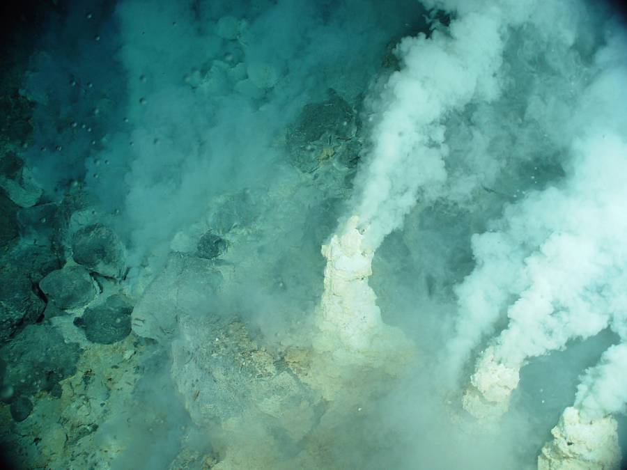 Deep Sea Vents