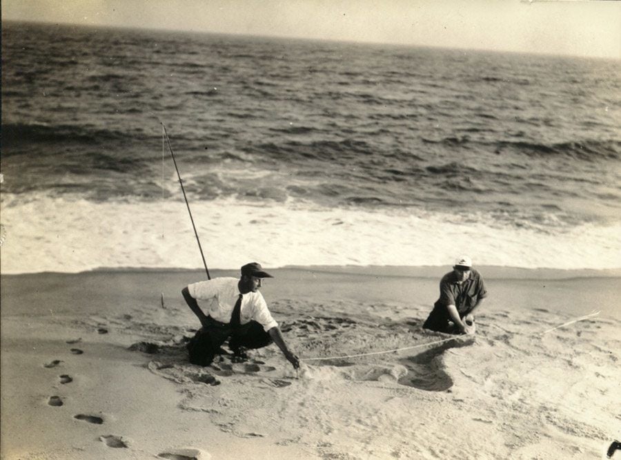 Measuring Footprints Of Sea Monster