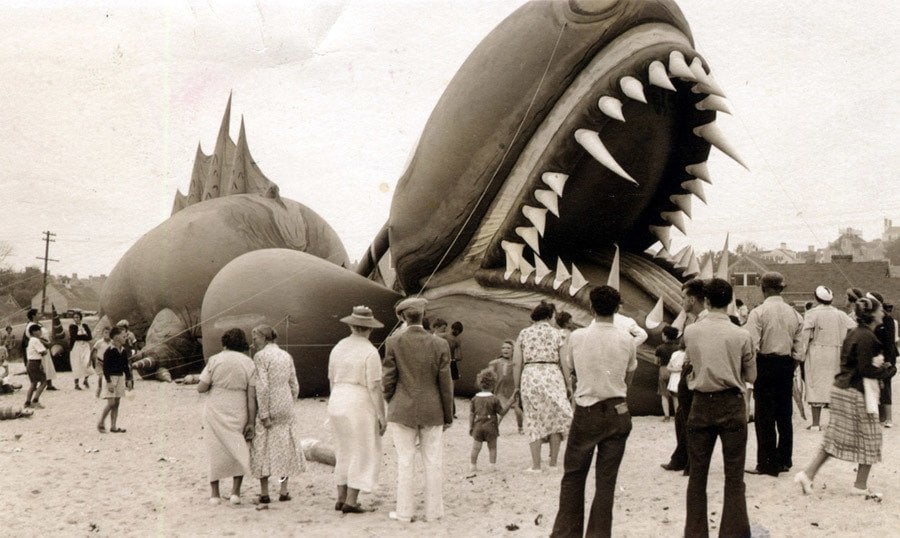 Nantucket Sea Serpent Open Mouth