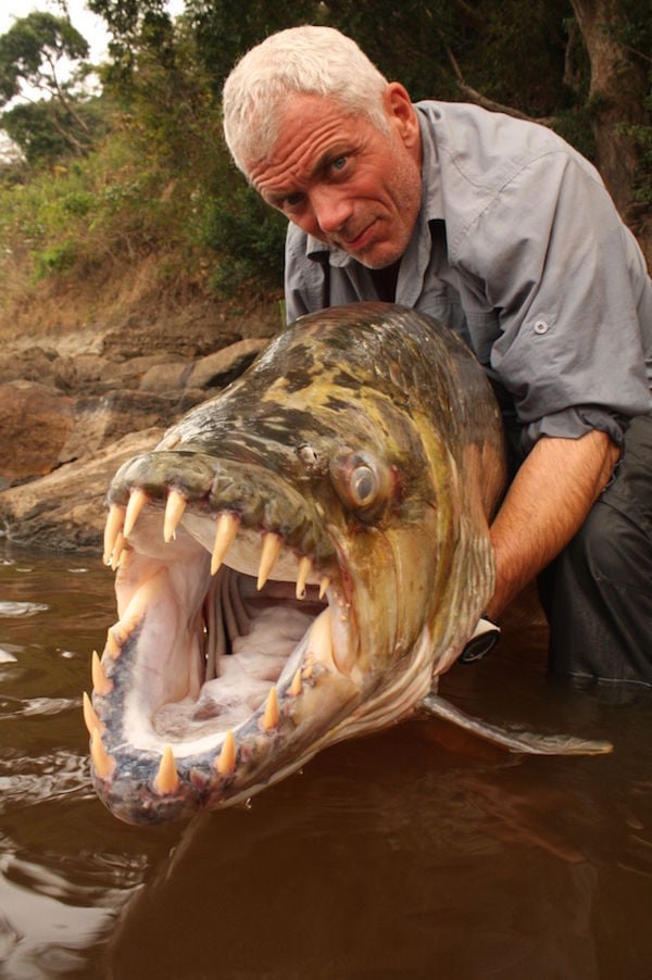 man eating fish river monsters