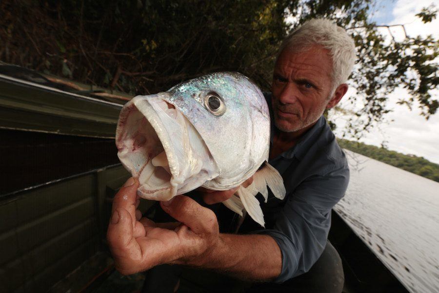 Blimey! River Monsters presenter catches terrifying prehistoric-looking monster  fish, Nature, News