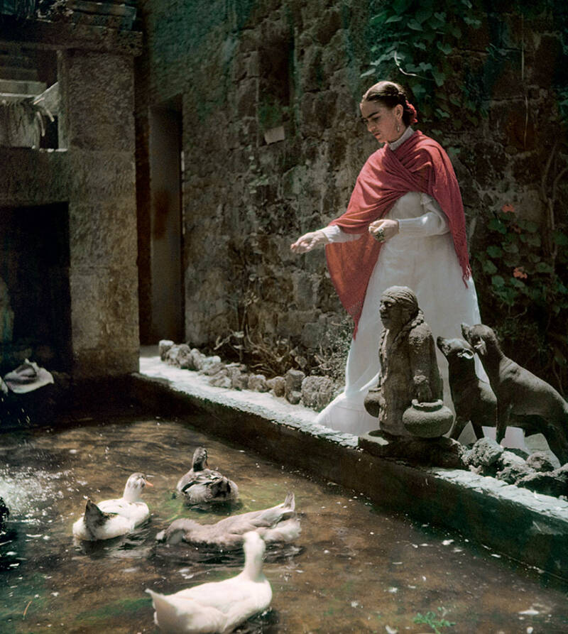 Frida And Ducks