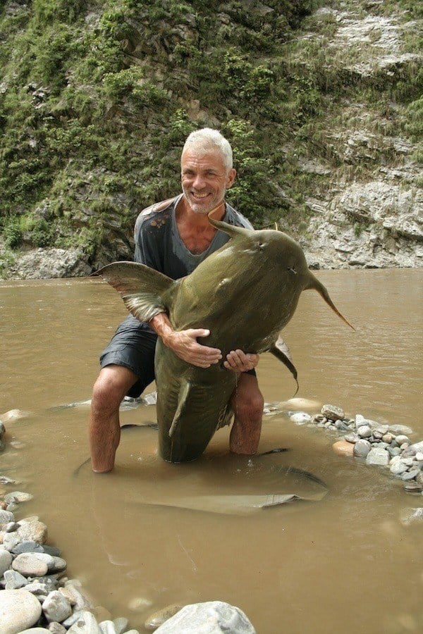 red tailed catfish river monsters