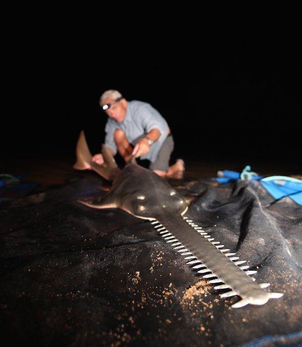 Catching a Strange River Monster While Chasing After Big Fish 