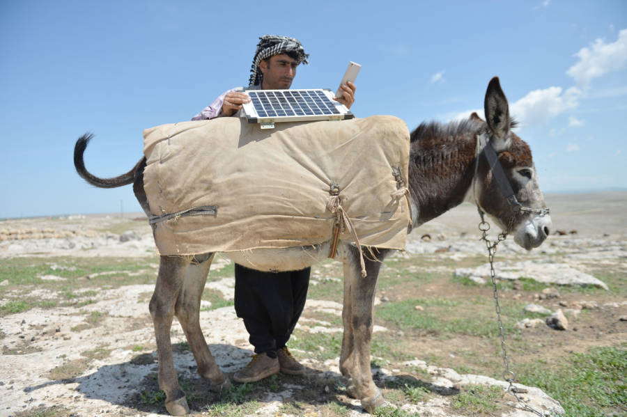 Shepherds Charge Their Phones With Solar Panels Carried By Donkeys In Turkey