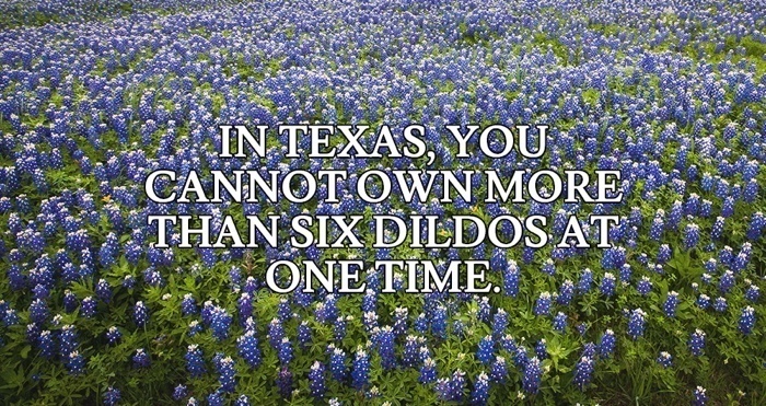 Texas Sex Law