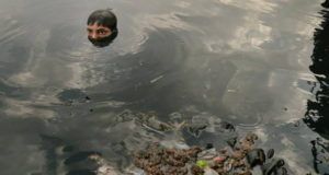Boy Swimming Head