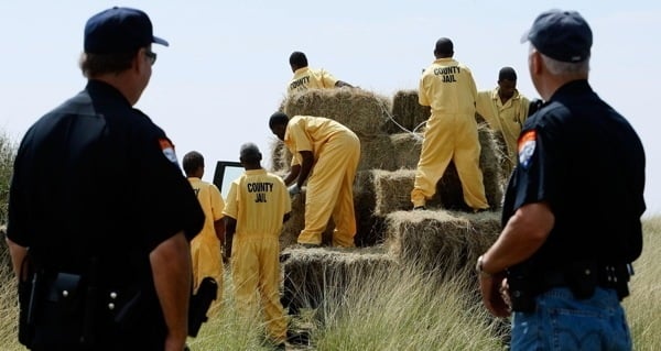 Prisoners Loading Hay