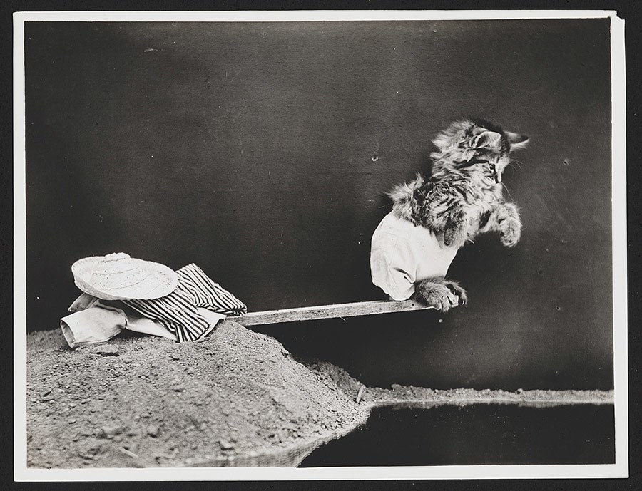 All That's Interesting, Something Interesting To Read Every Day