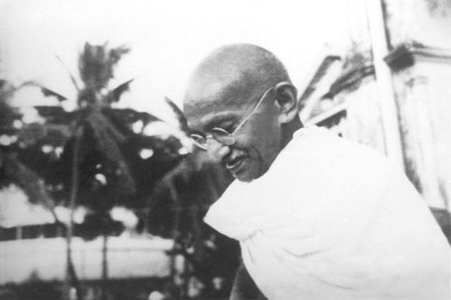Gandhi Palmtrees