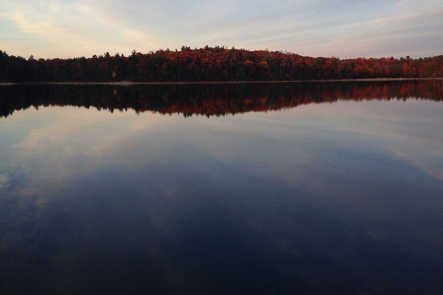 Pond Reflection