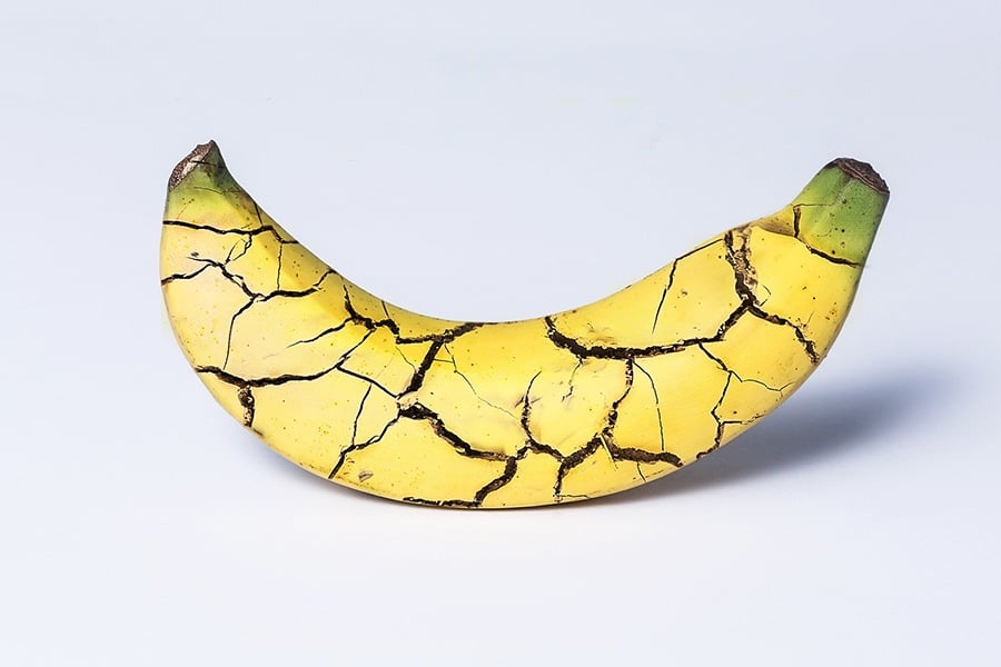 Shattered Banana