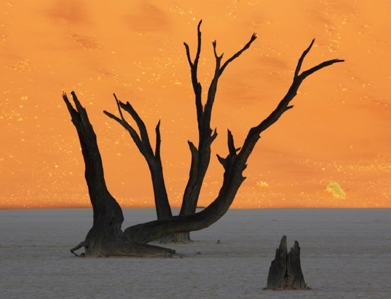 Surreal Landscapes Namibia