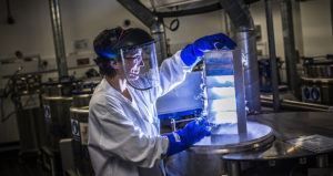 Research Into Cancer Conducted At The Cancer Research UK Cambridge Institute