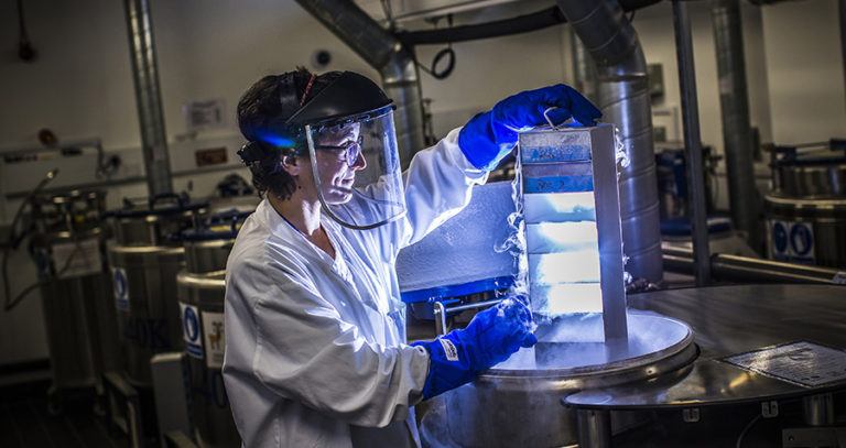 Research Into Cancer Conducted At The Cancer Research UK Cambridge Institute