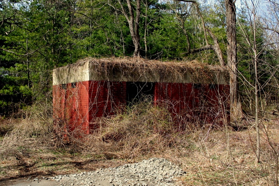 Abandoned Shack