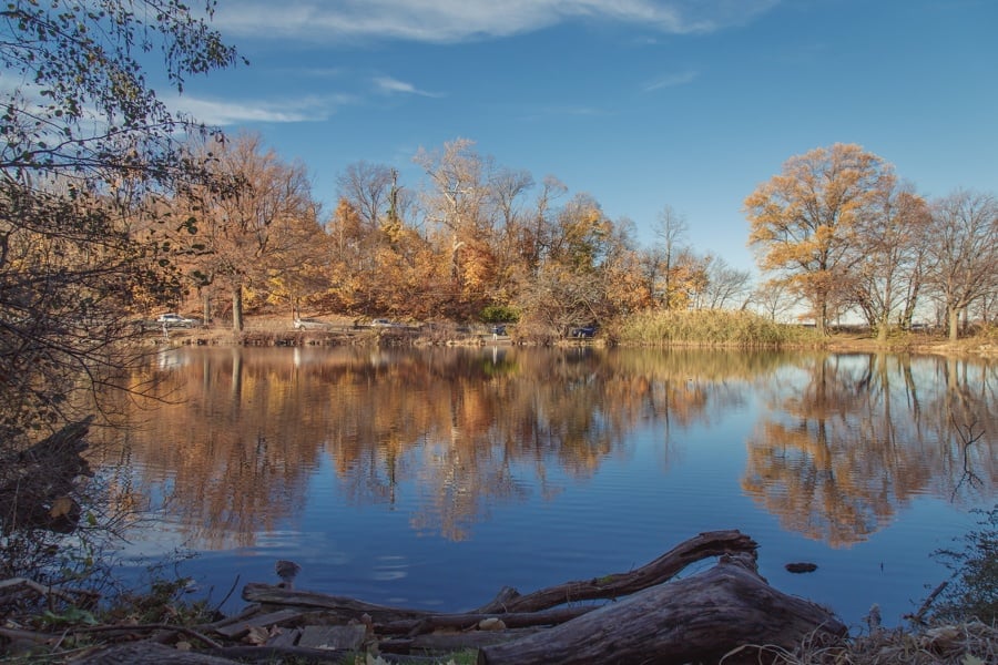 35 New York City Photos You Won't Believe Were Taken There