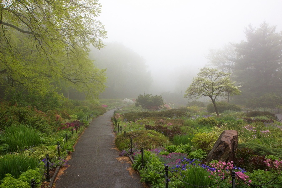 Heather Garden
