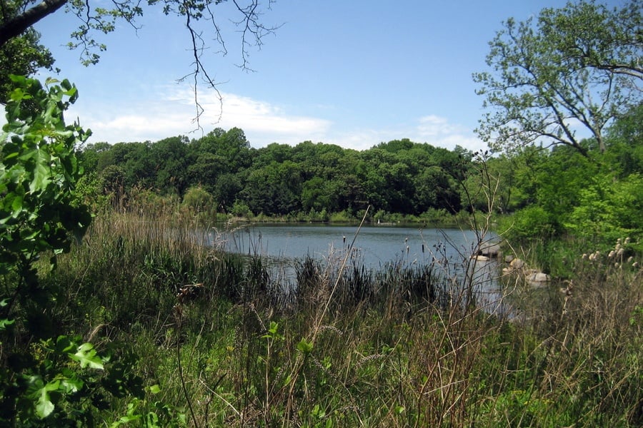 Kissena Park