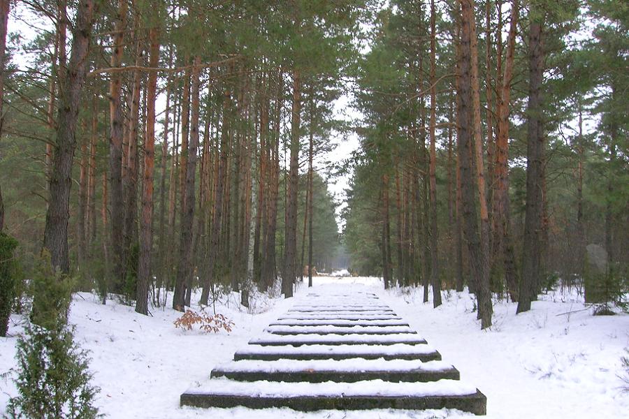 Nazi Occupation Treblinka Tracks