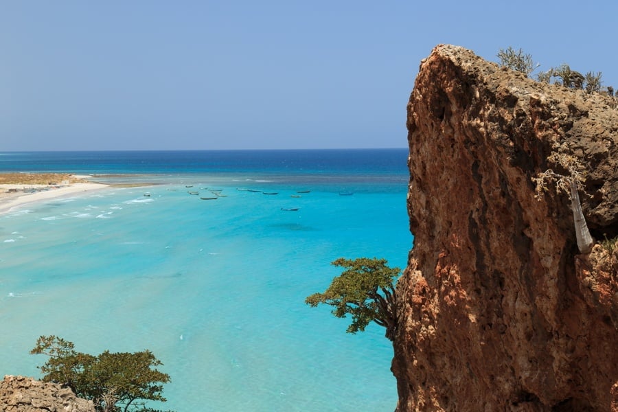 Tree On A Cliff