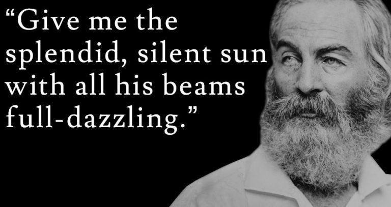 Walt Whitman Sun Dazzle