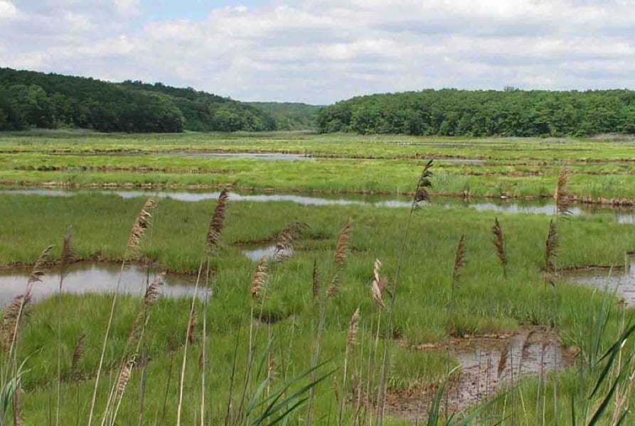 William T Davis Wildlife Refuge