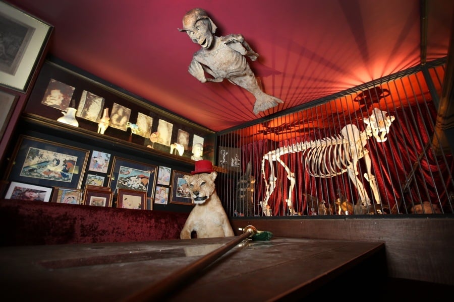 Inside The Viktor Wynd Museum Of Curiosities, The Strangest Museum On Earth