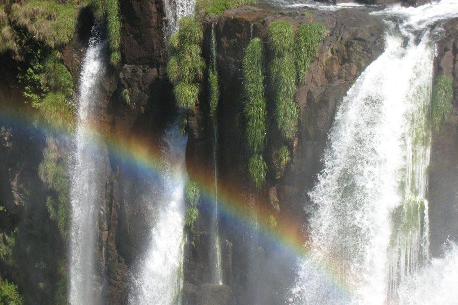 Iguaza Falls Rainbow Moss