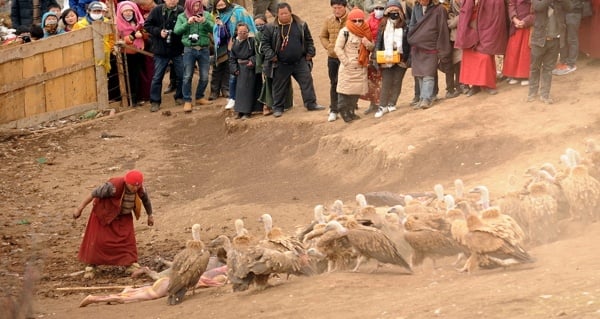Sky Burial Vultures