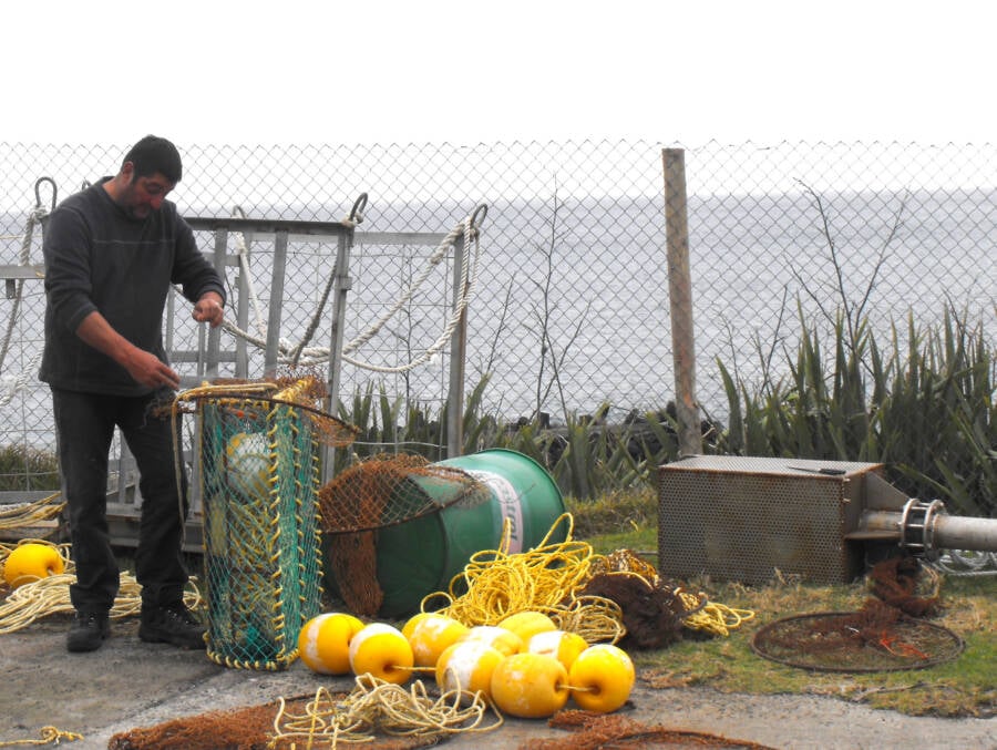 Tristan Da Cunha Lobster Fishing