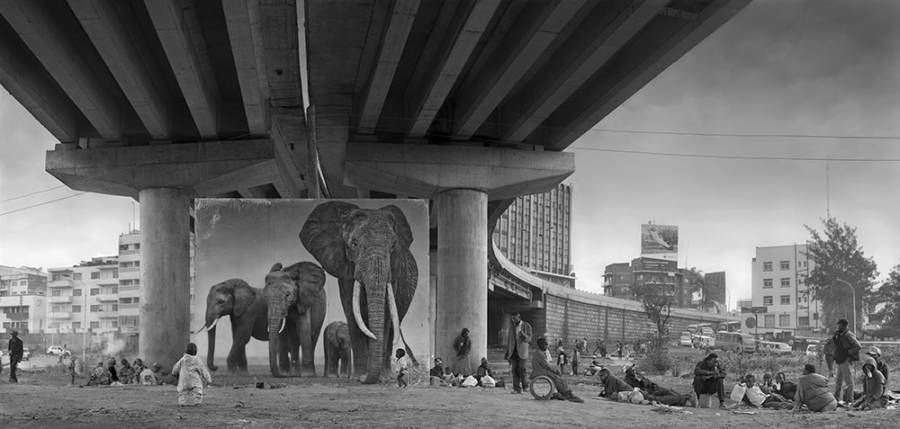 Underpass With Elephants Lean Back Your Life Is On Track 2015 3800px