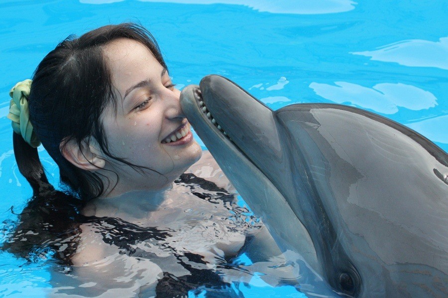 Girl Dolphin