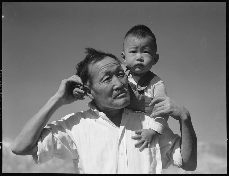 Grandfather And Grandson Of Japanese Ancestry