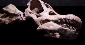 1042016 Gettyimages 504974102