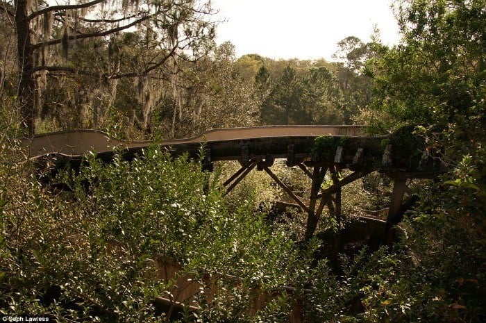 Disney's River Country Pictures