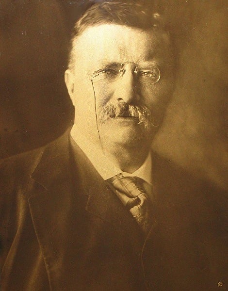 Roosevelt 1904