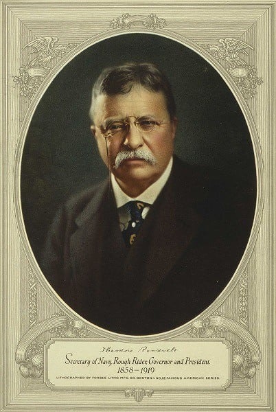 Roosevelt Painting