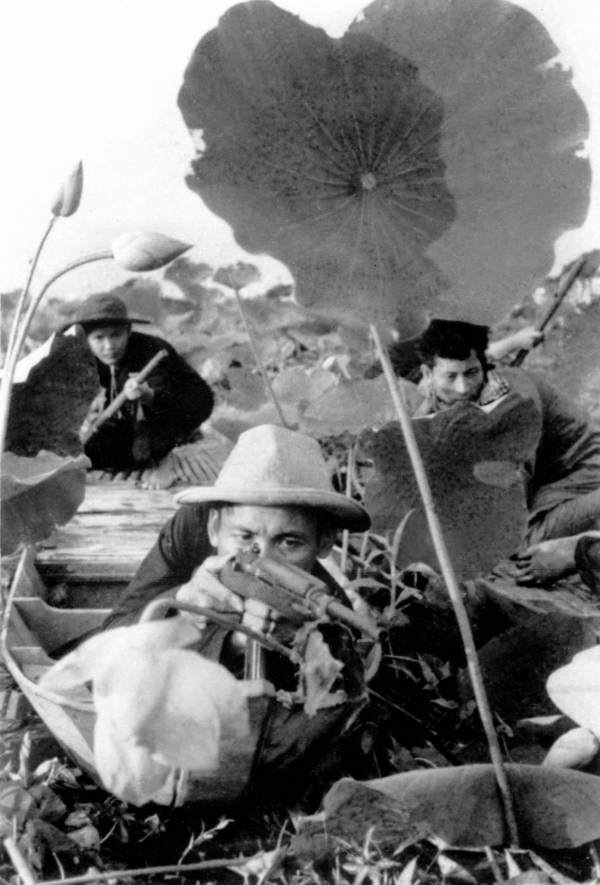 Soldiers In Lotus Field