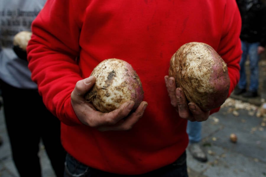 Spain's Jarramplas Turnip Festival, In 37 Astounding Photos