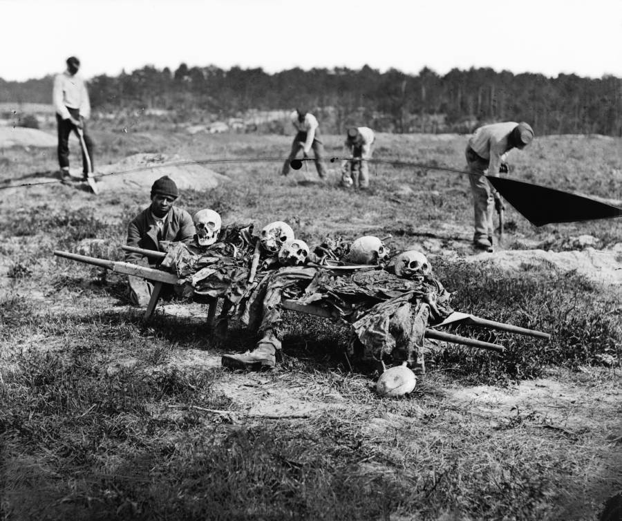 Cold Harbor Collecting Bones