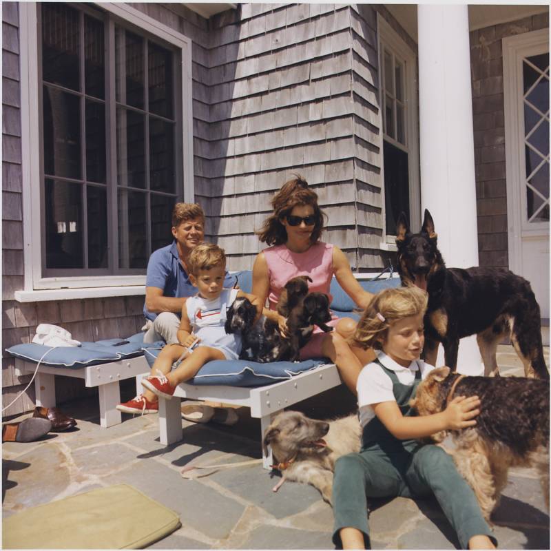 Kennedy Family Dogs