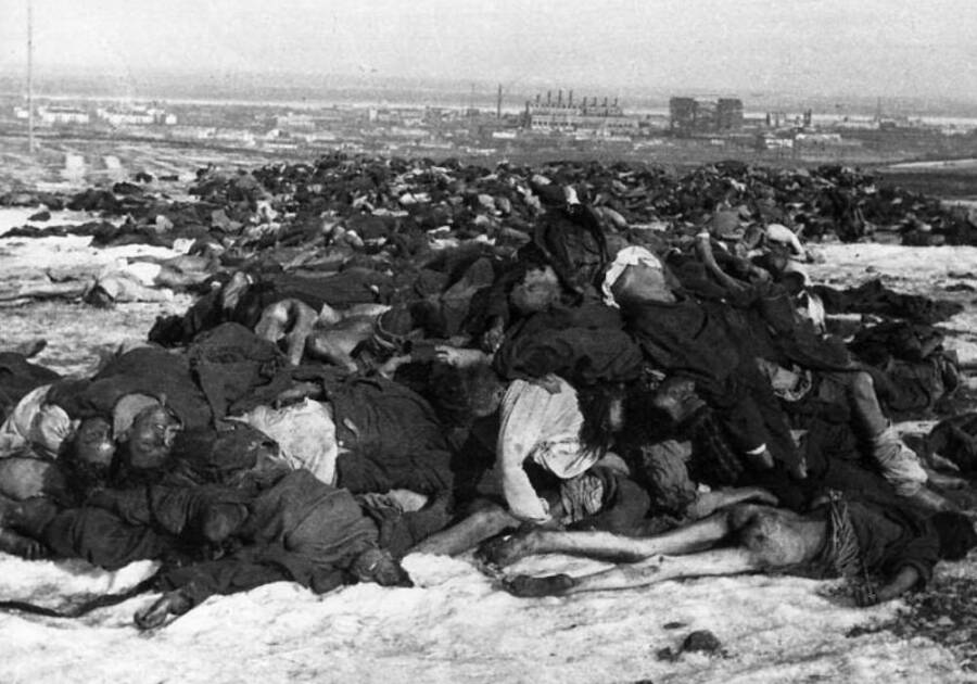 World War 2 Photos Battle Of Stalingrad