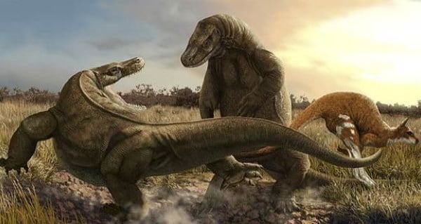 Megafauna Australian