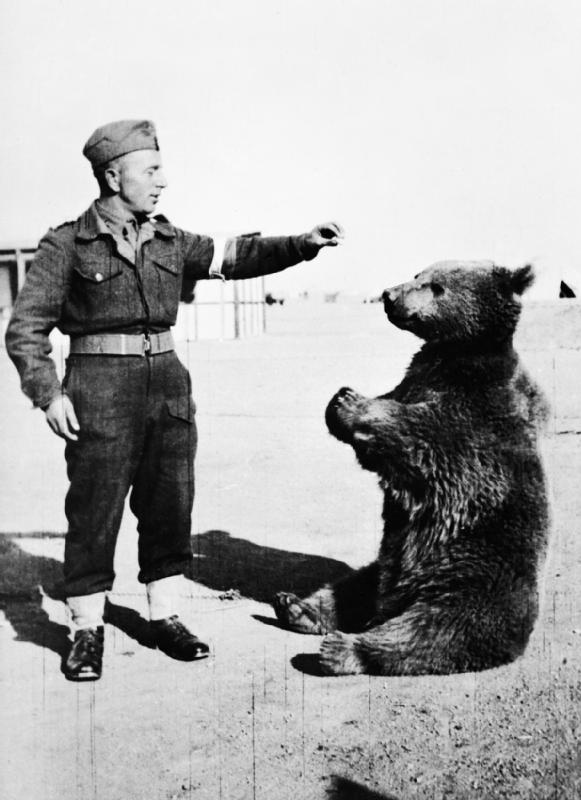 Wojtek Sitting Down